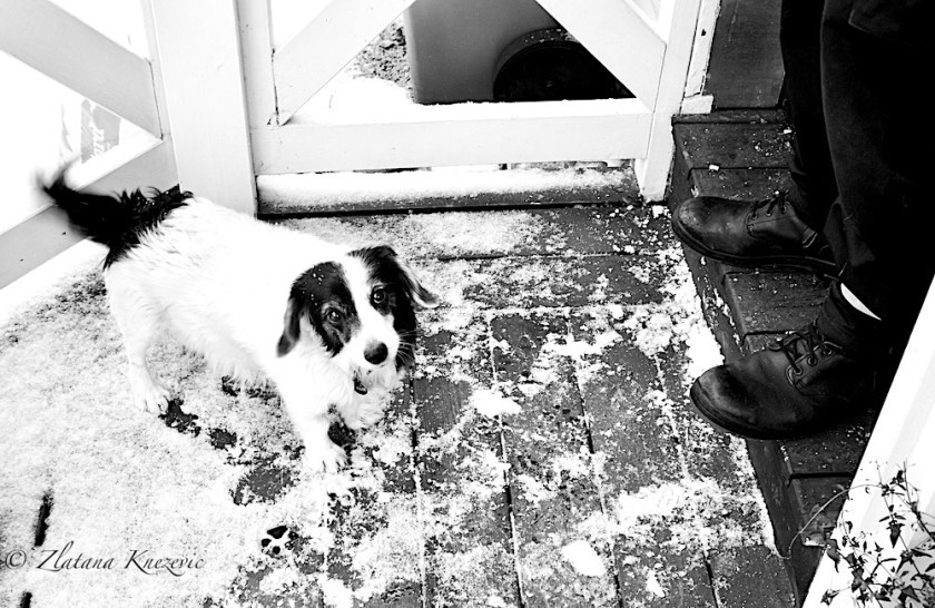 Beneath the Uniform photo courtesy of Zlatana Knezevic