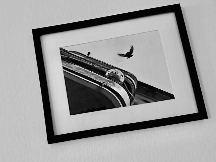 copyright-2020-zlatana-knezevic-karantantider-lockdown-times-balkongarlivet-balcony-is-life-inramat fotografi-framed photograph